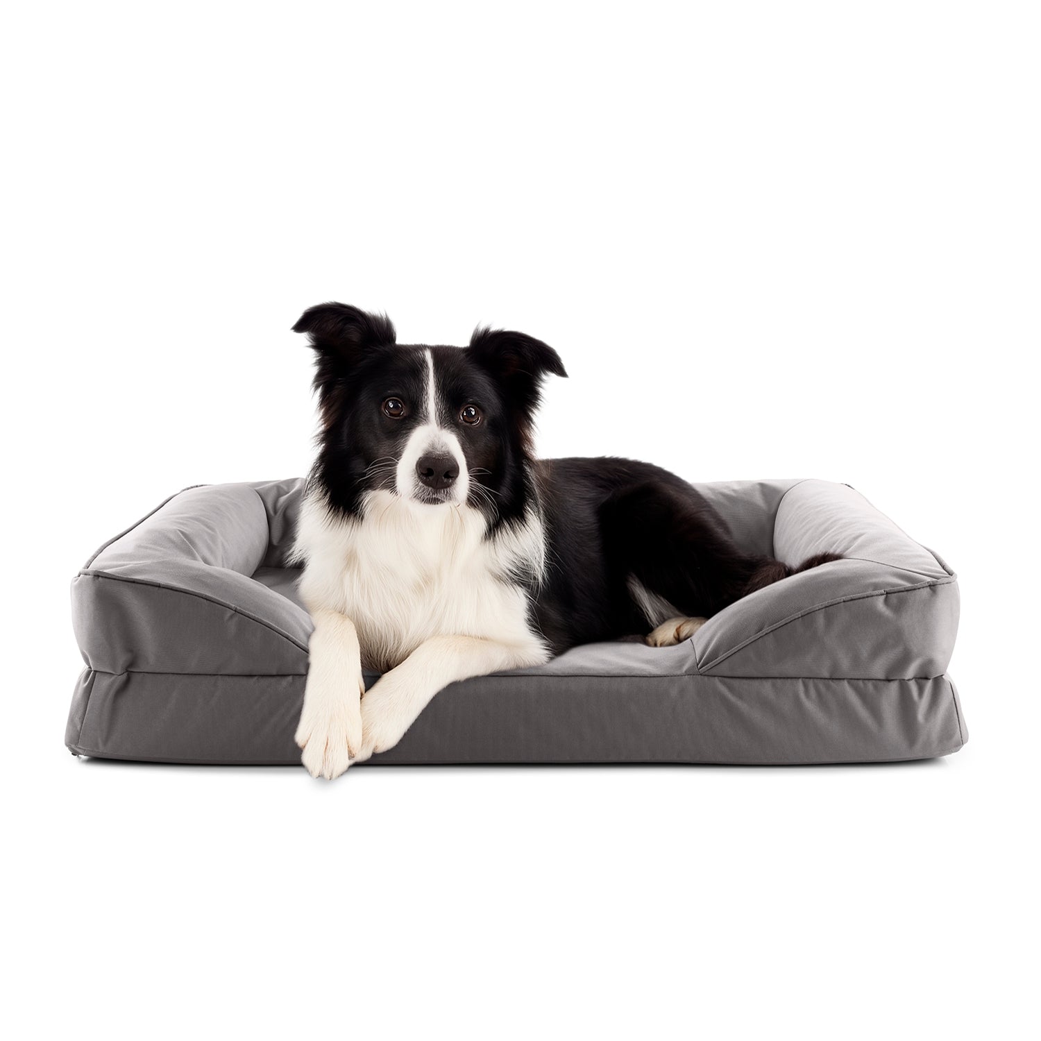 Border Collie liegt in grauen LUMALAND Hundebett mit weichem Outdoor-Bezug, Vorderpfoten über die Kante gelegt, Blick aufmerksam nach vorne.