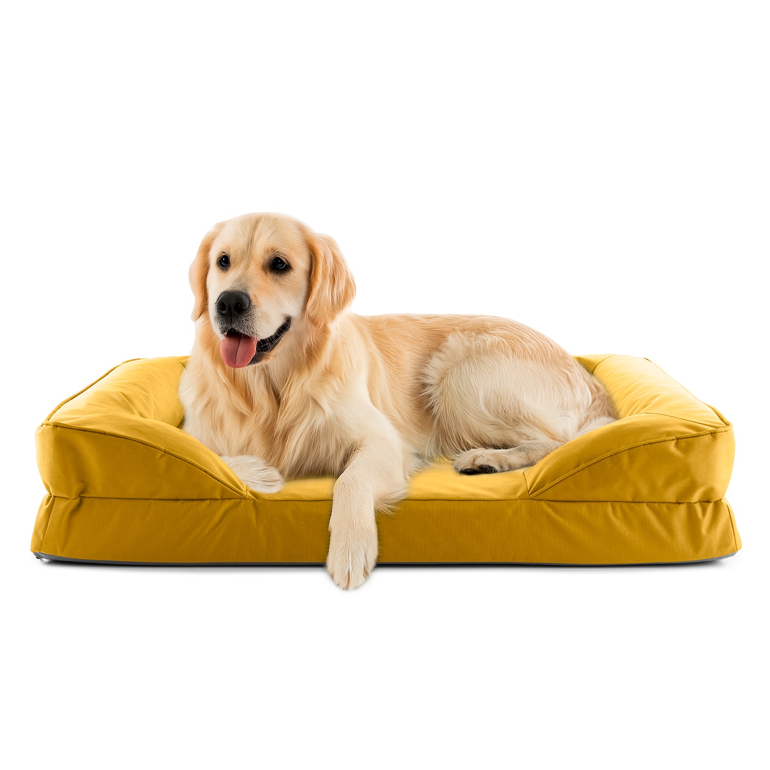 Golden Retriever liegt in senfgelben LUMALAND Hundebett mit weichem Outdoor-Bezug, Vorderpfoten über die Kante gelegt, Blick aufmerksam nach vorne.