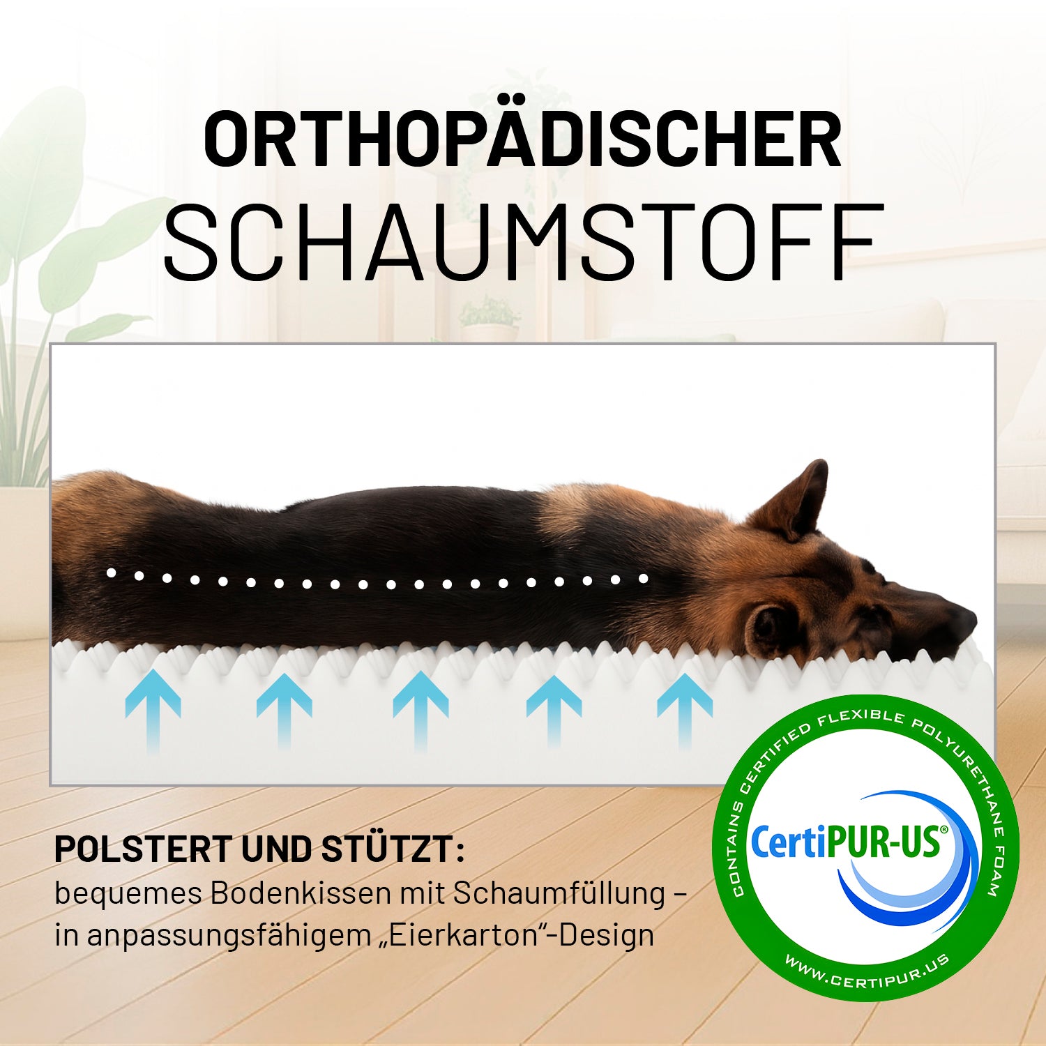 Ein Schäferhund liegt ausgestreckt auf orthopädischem Schaumstoffkissen im Eierkarton-Design, das stützend und polsternd wirkt, mit CertiPUR-US Zertifikat.