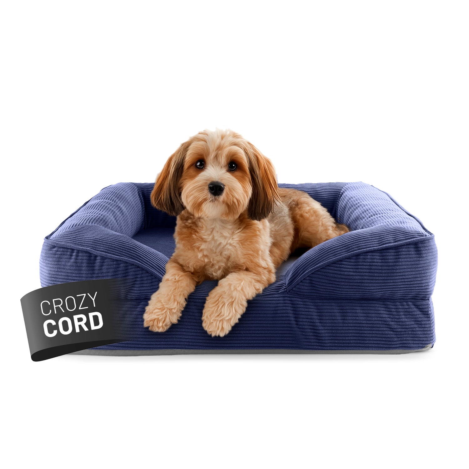 Kleiner Hund liegt in blauen LUMALAND Hundebett mit weichem Cord-Bezug, Vorderpfoten über die Kante gelegt, Blick aufmerksam nach vorne.