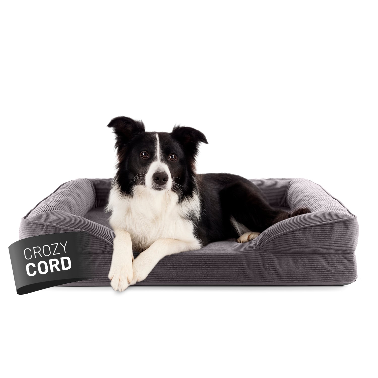 Ein Border Collie liegt in dem grauen LUMALAND Hundebett mit weichem Cord-Bezug, Vorderpfoten über die Kante gelegt, Blick aufmerksam nach vorne.