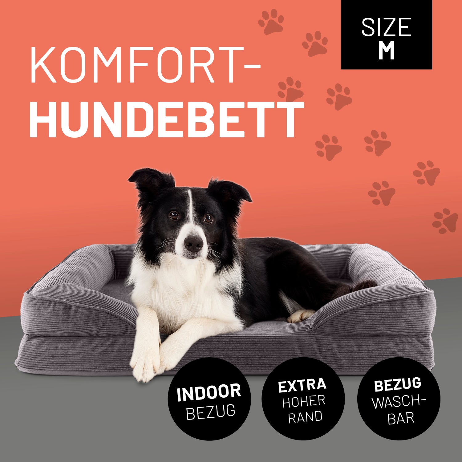 Ein Border Collie liegt im grauen Komfort-Hundebett Größe M. Icon "Indoor Bezug", "Extrahoher Rand" und "Bezug waschbar".