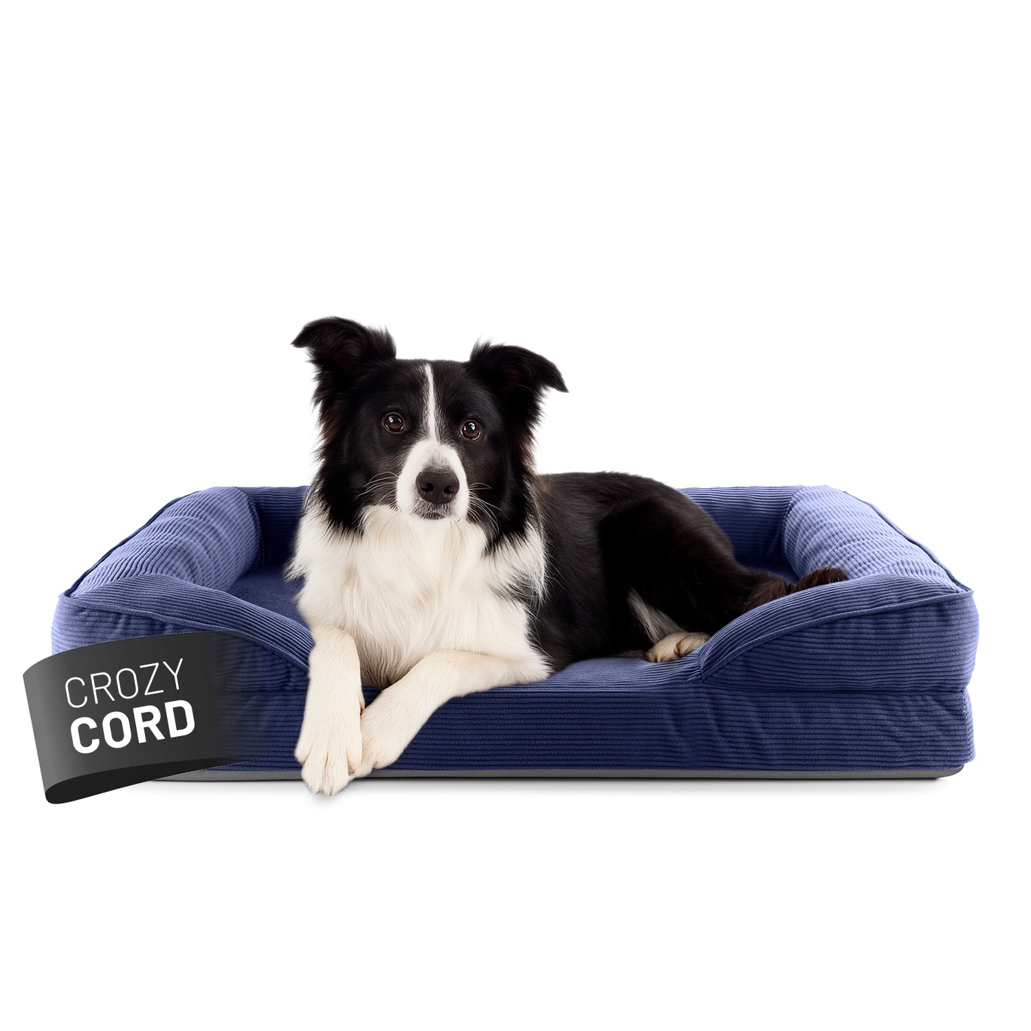 Ein Border Collie liegt in dem navyblauen LUMALAND Hundebett mit weichem Cord-Bezug, Vorderpfoten über die Kante gelegt, Blick aufmerksam nach vorne.