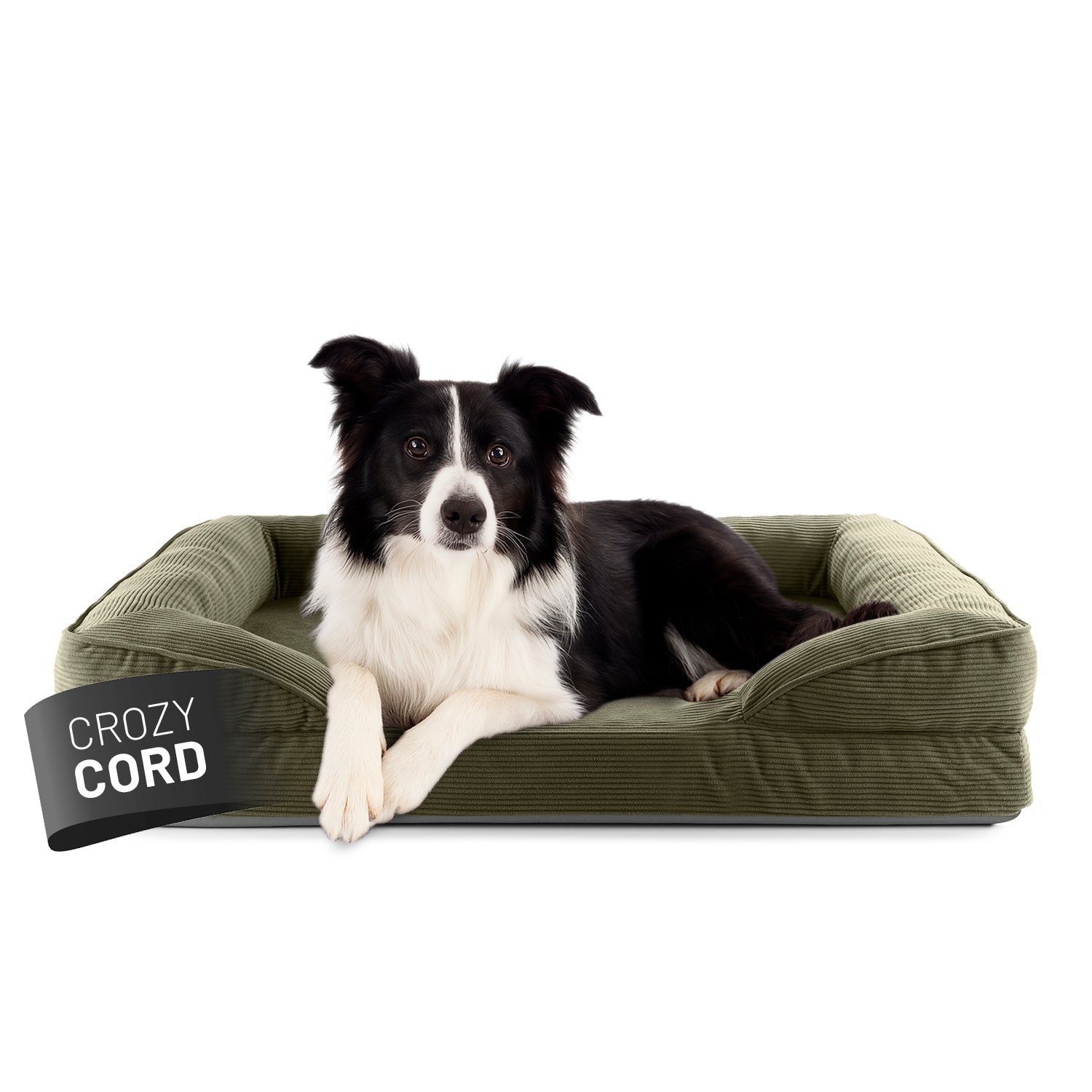 Ein Border Collie liegt in dem olivegrünen LUMALAND Hundebett mit weichem Cord-Bezug, Vorderpfoten über die Kante gelegt, Blick aufmerksam nach vorne.