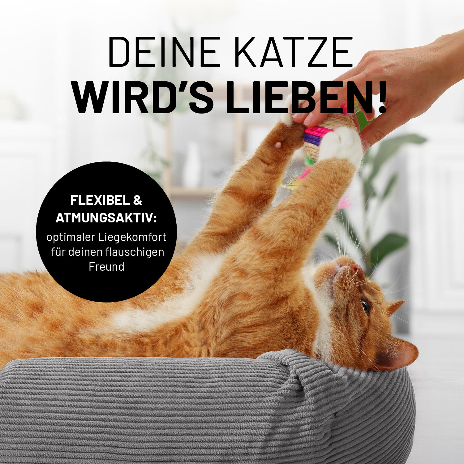Eine rote Katze liegt im grauen LUMALAND Katzenbett Cord mit Ball zwischen den Pfoten. Icon "Flexibel & Atmungsaktiv: Optimaler Liegekomfort für deinen flauschigen Freund".