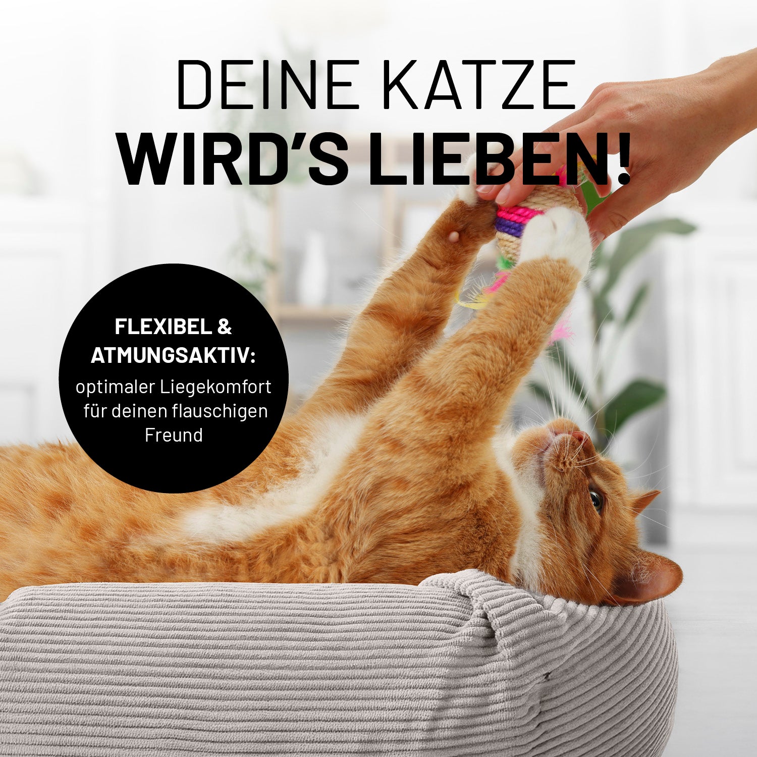 Eine rote Katze liegt im beigen LUMALAND Katzenbett Cord mit Ball zwischen den Pfoten. Icon "Flexibel & Atmungsaktiv: Optimaler Liegekomfort für deinen flauschigen Freund".