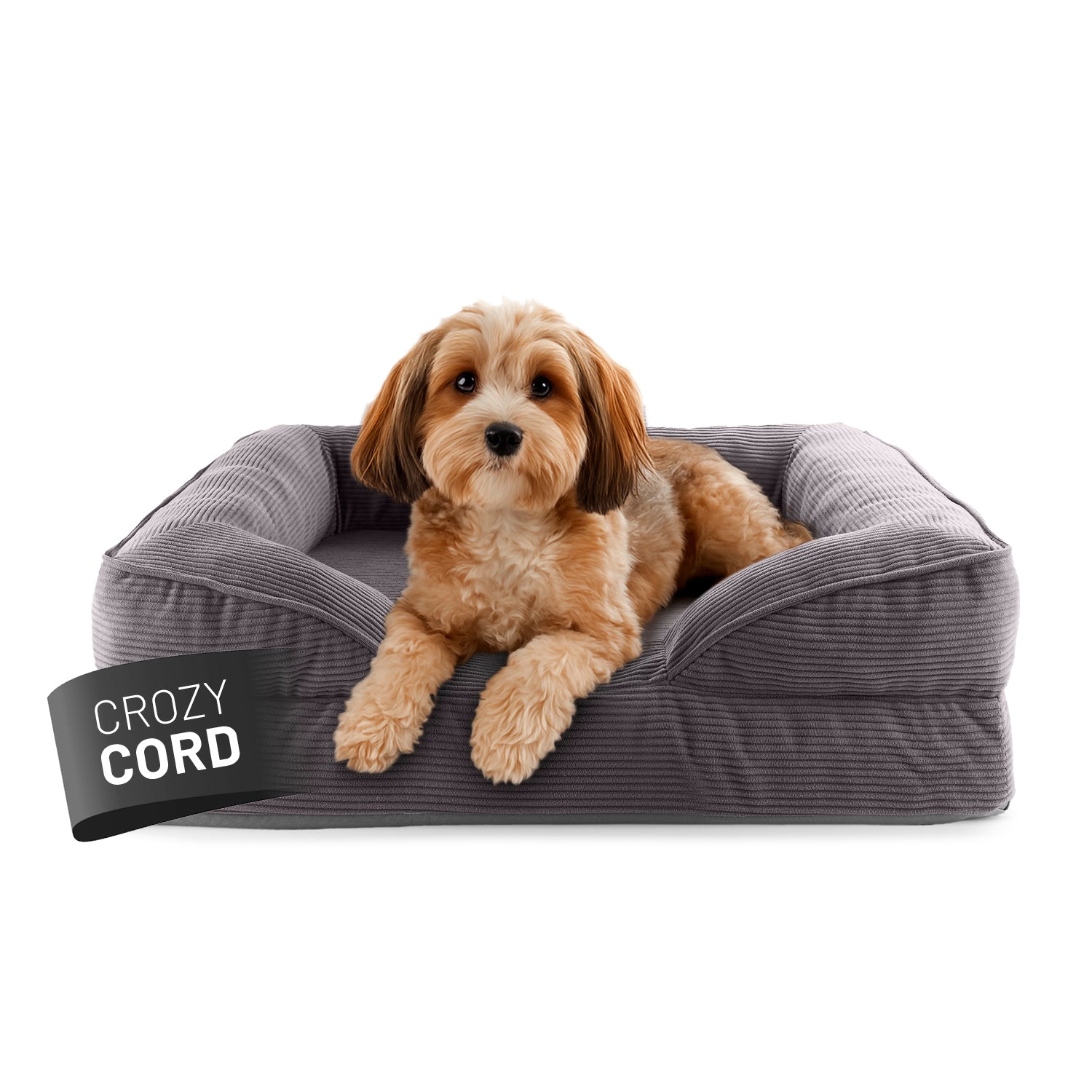 Kleiner Hund liegt in grauem LUMALAND Hundebett mit weichem Cord-Bezug, Vorderpfoten über die Kante gelegt, Blick aufmerksam nach vorne.