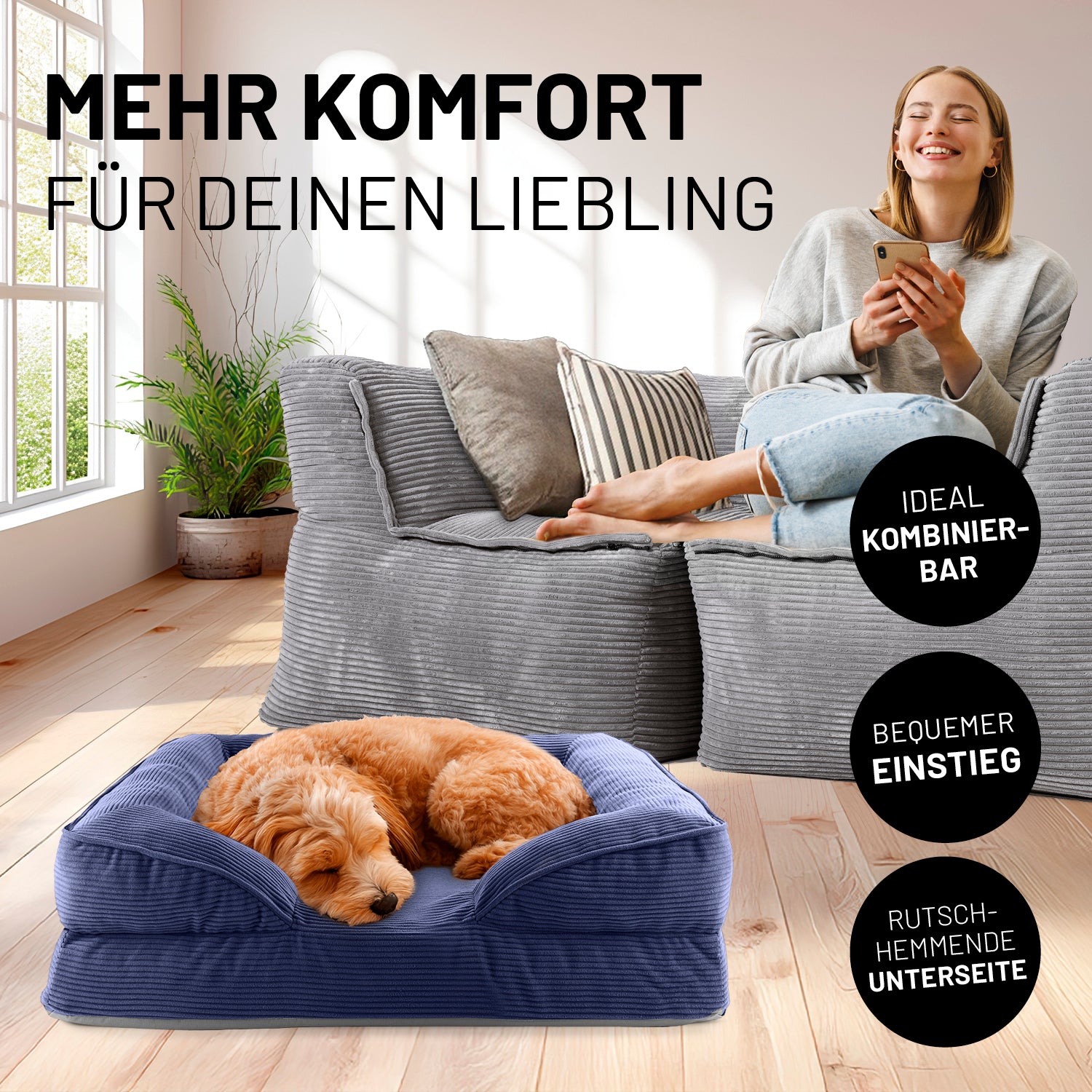 Frau sitzt entspannt auf grauen Modularen System Cord, während der Hund im passenden blauen Hundebett Cord liegt. Icons "Ideal kombinierbar", "Bequemer Einstieg" und "Rutschhemmende Unterseite".