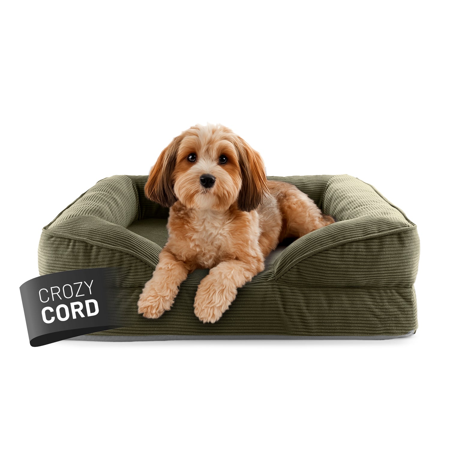 Kleiner Hund liegt in olivegrünen LUMALAND Hundebett mit weichem Cord-Bezug, Vorderpfoten über die Kante gelegt, Blick aufmerksam nach vorne.